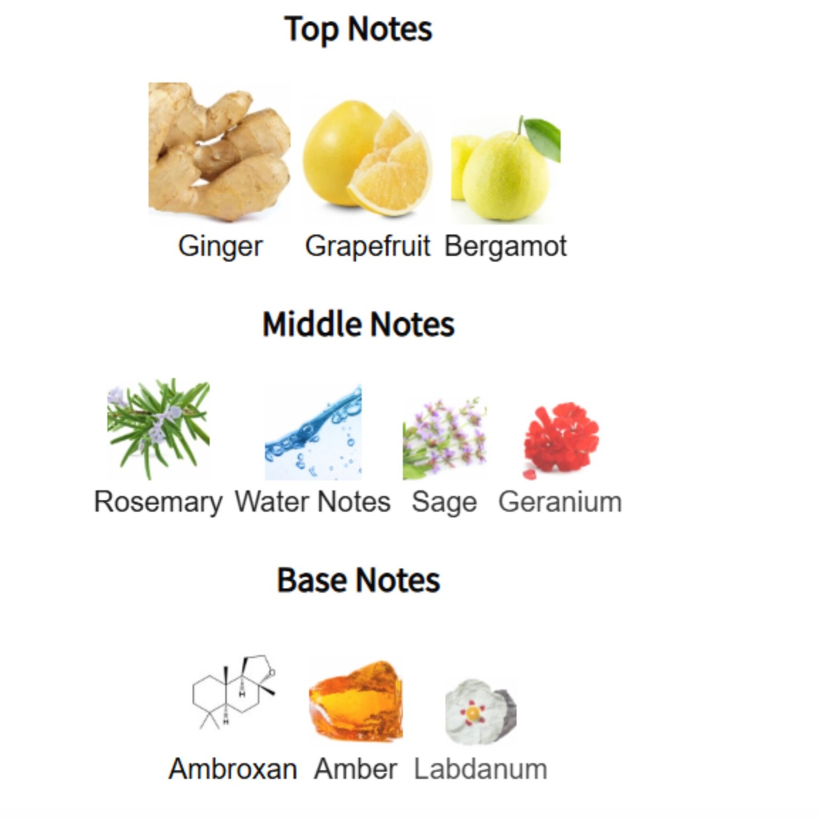 Maison Alhambra Immortal 2 maison alhambra immortal | inspired by louis vuitton l'immensité